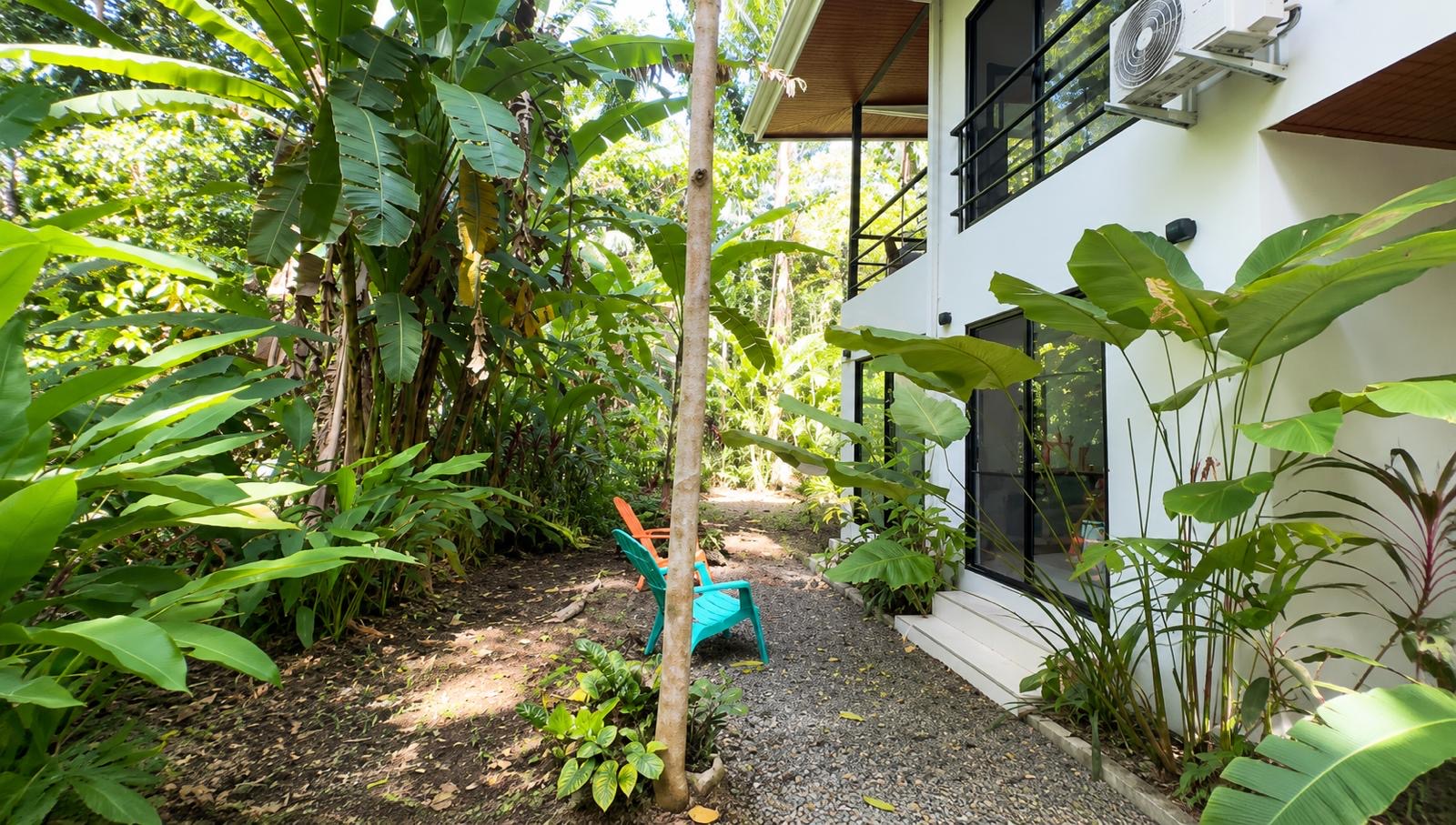 Jardin tropical